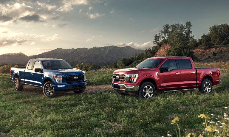 Two 2021 Ford F-150's in open field