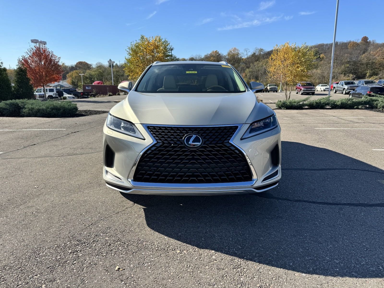 Used 2020 Lexus RX 350 with VIN JTJHZKFA0L2024924 for sale in Greendale, IN