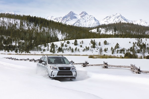 Subaru Accessories in Fairbanks