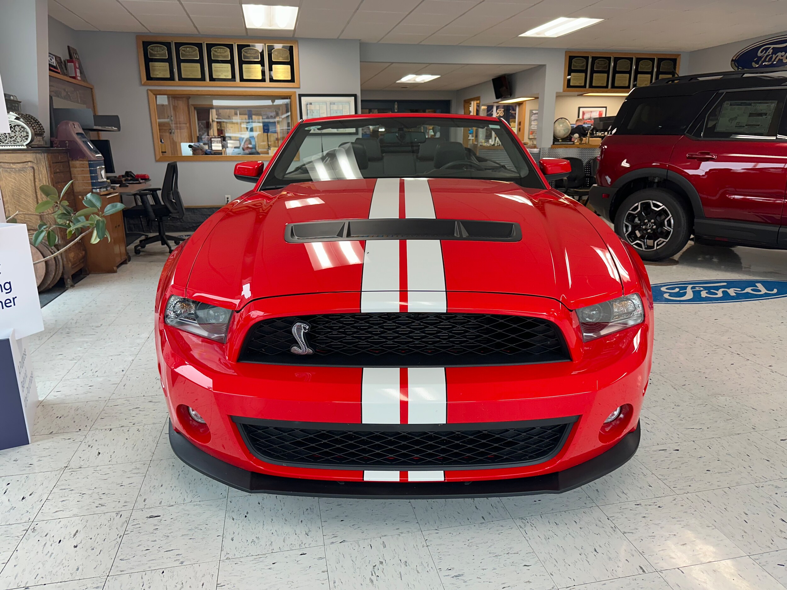2011 Ford Mustang Shelby Convertible photo 2