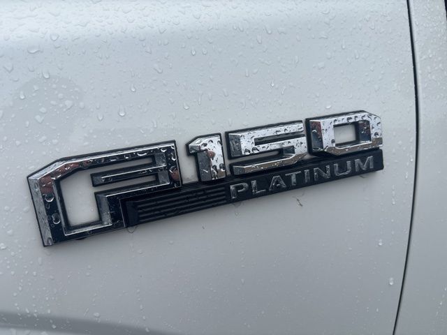 2020 Ford F-150 Platinum photo 3