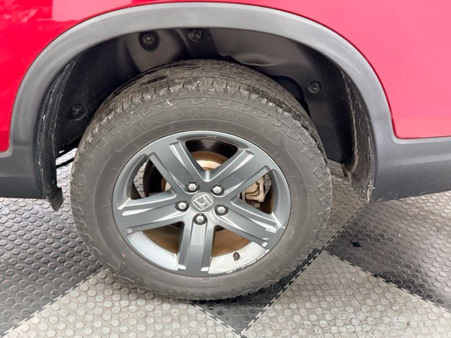 Photo 12