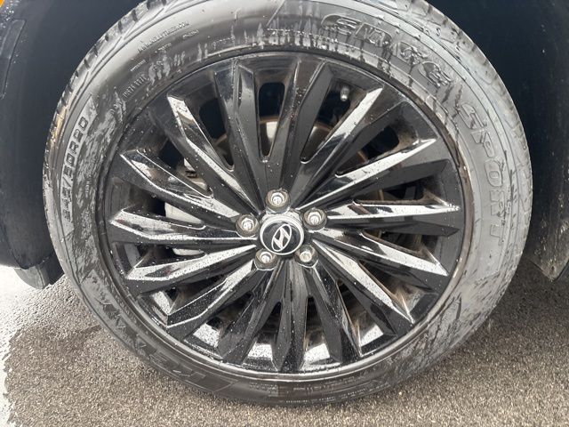 2024 Hyundai Palisade Calligraphy photo 2