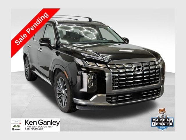 2023 Hyundai Palisade Calligraphy - Photo 1