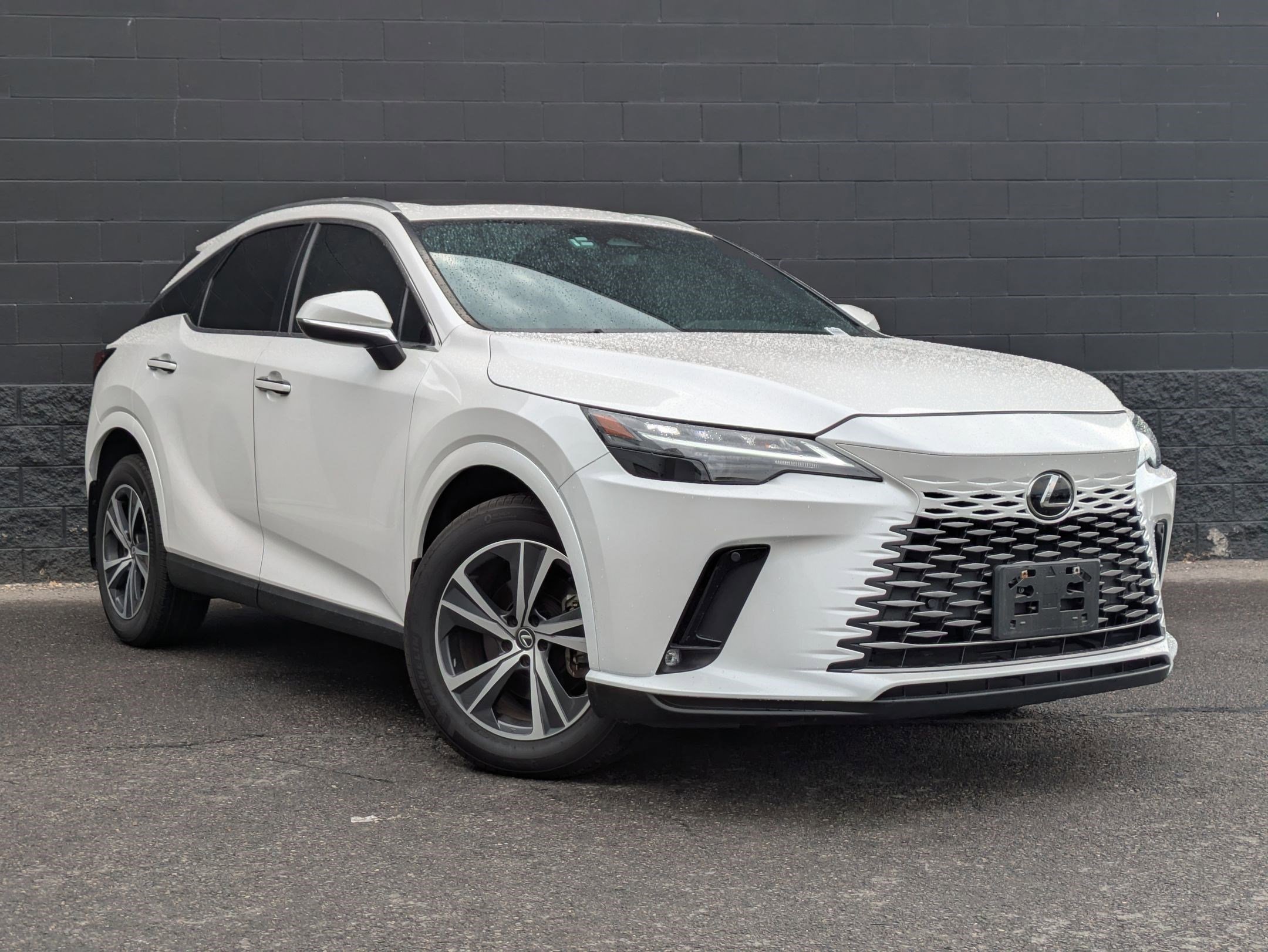 2023 Lexus RX 350h Luxury photo 3