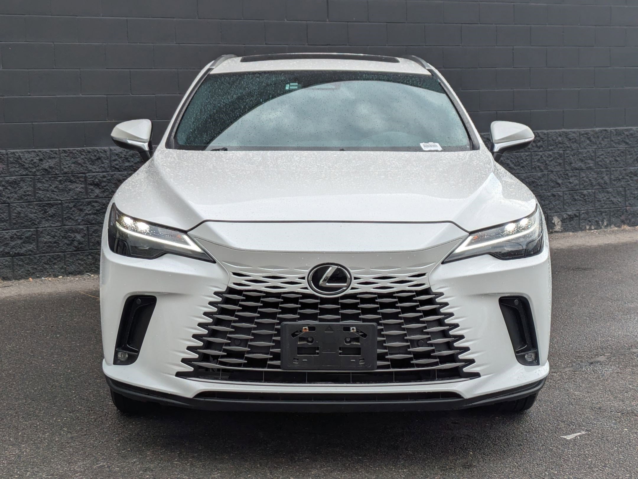 2023 Lexus RX 350h Luxury photo 2