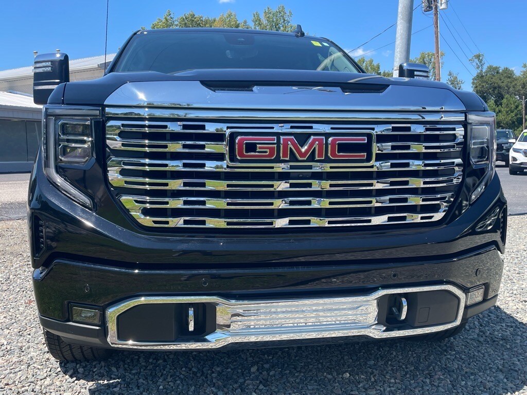 2024 Gmc Sierra 1500 Denali photo 2