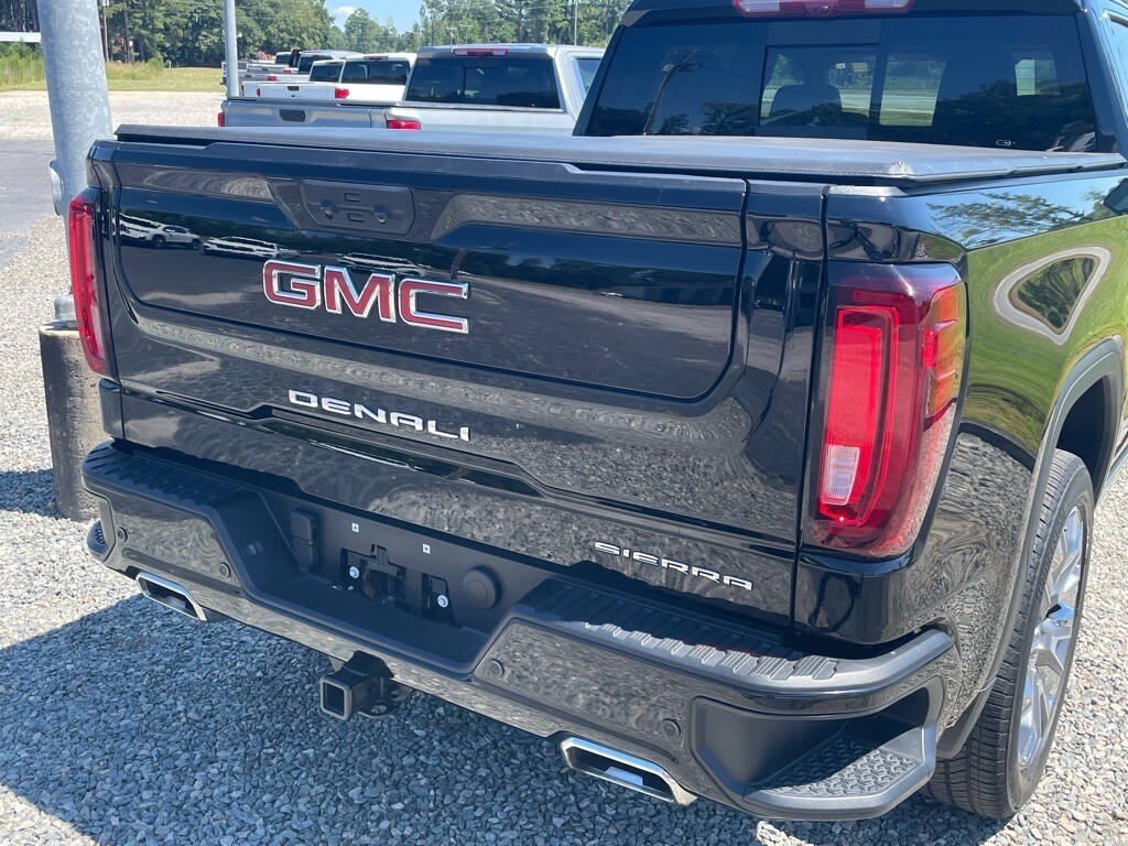 2024 Gmc Sierra 1500 Denali photo 4