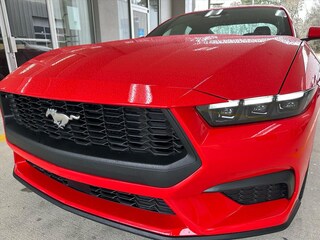 2026 Ford Mustang I4CP EcoBoost  Fastback