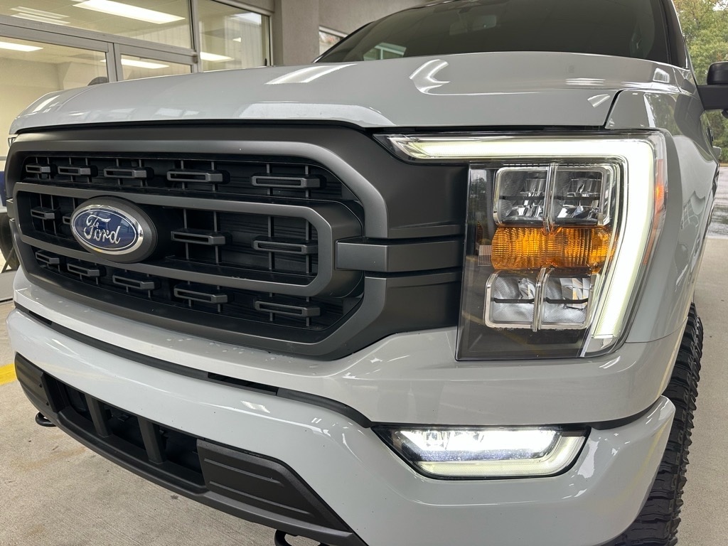 2023 Ford F-150 XLT's photo