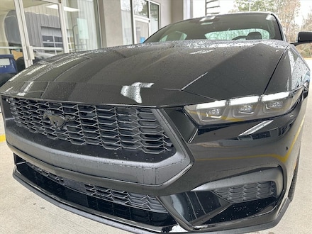 2026 Ford Mustang I4CP EcoBoost  Fastback