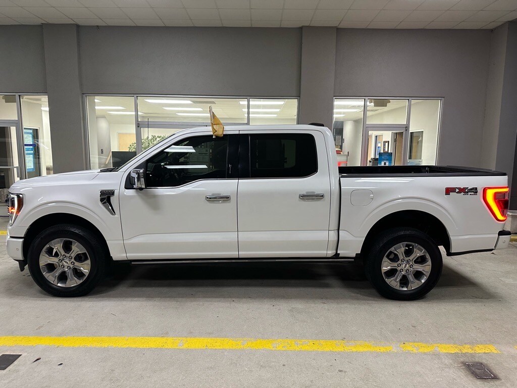 2023 Ford F-150 XL Platinum photo 2