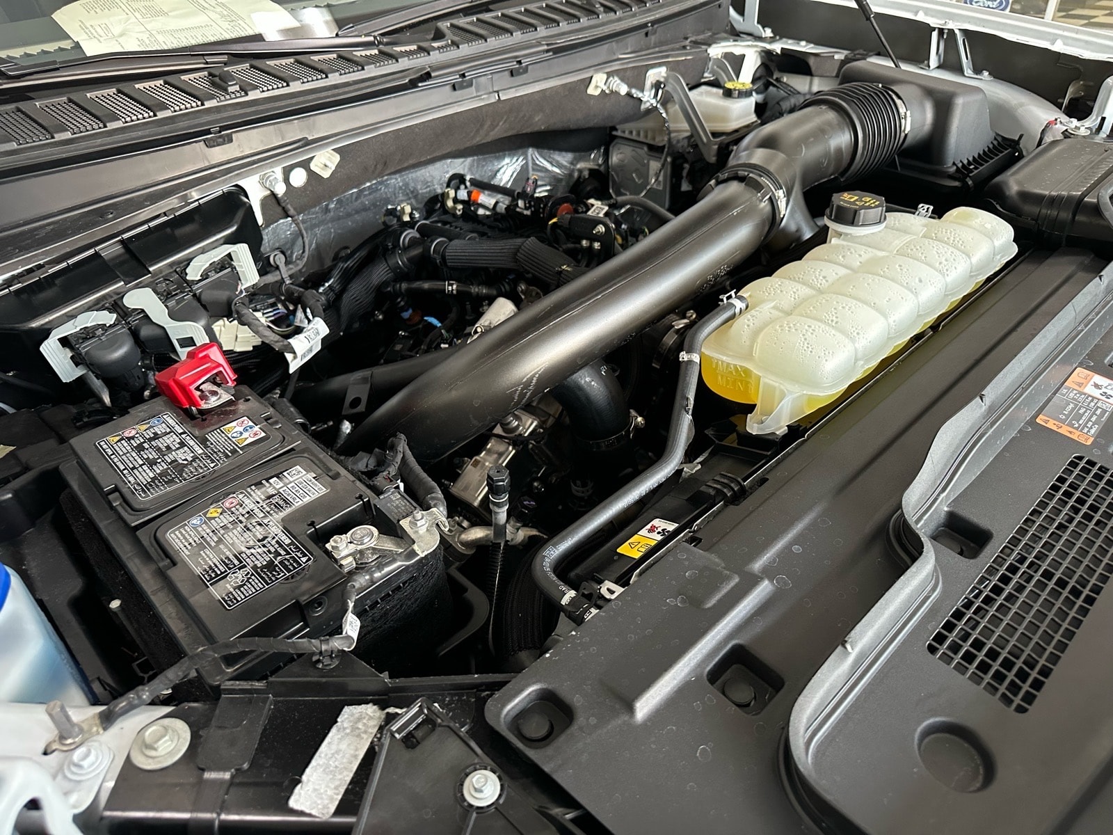 2025 Ford Expedition Active - Photo 15