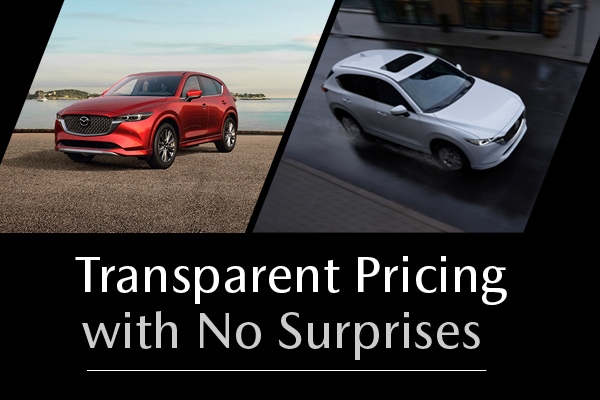 transparent pricing with no surprises