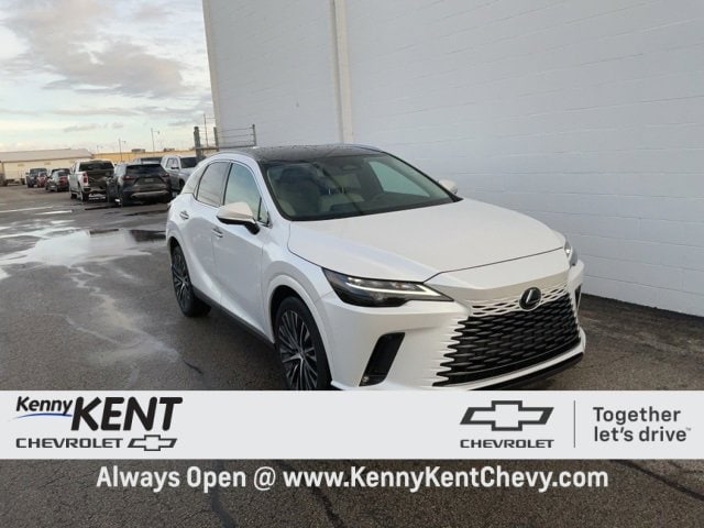 2023 Lexus RX Base's photo