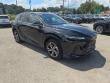 2025 LEXUS RX 350 Premium WG