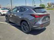 2026 LEXUS NX 450h+ Luxury Sport Utility