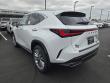 2026 LEXUS NX 350h Luxury Sport Utility