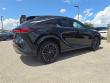 2025 LEXUS RX 350 Premium WG