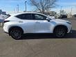 2024 LEXUS NX 350h Base SUV