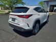 2023 LEXUS NX 350h Luxury SUV