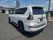 2023 LEXUS GX 460 Luxury SUV