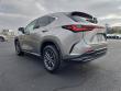 2025 LEXUS NX 350 Base SUV