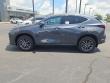 2026 LEXUS NX 350 Base Sport Utility