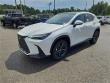 2025 LEXUS NX 450h+ Luxury WG