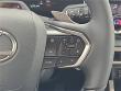 2025 LEXUS RX 350 Premium WG