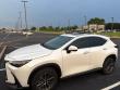 2025 LEXUS NX 350 Base SUV