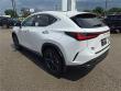 2025 LEXUS NX 450h+ Luxury WG