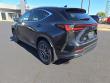 2025 LEXUS NX 350 Base SUV