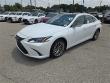 2025 LEXUS ES 350 Luxury SD