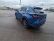 2025 LEXUS NX 350 Base SUV