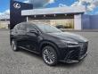 2026 LEXUS NX 350h Luxury Sport Utility
