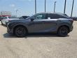 2025 LEXUS RX 350 Premium WG