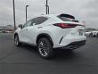 2026 LEXUS NX 350 Premium SUV