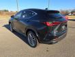 2026 LEXUS NX 350h Luxury UT