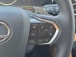 2026 LEXUS NX 350 Base Sport Utility
