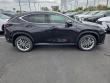 2026 LEXUS NX 350h Luxury Sport Utility