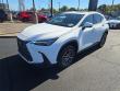 2026 LEXUS NX 350 Base WG