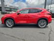 2024 LEXUS NX 350h Luxury SUV
