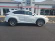 2021 LEXUS NX 300 Base SUV