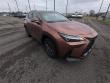 2025 LEXUS NX 350 Base SUV