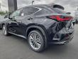 2026 LEXUS NX 350h Luxury Sport Utility