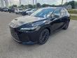 2025 LEXUS RX 350 Premium WG