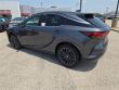 2025 LEXUS RX 350 Premium WG
