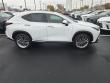 2026 LEXUS NX 350 Premium SUV