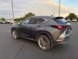 2024 LEXUS NX 350h Luxury SUV